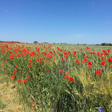 Dom wakacyjny Am Haff A 12 Stolpe auf Usedom