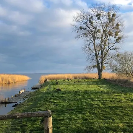 Dom wakacyjny Am Haff A 12 *