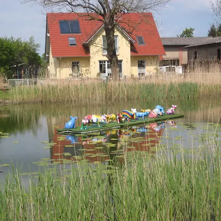 Am Haff A 12 펜션 스톨페