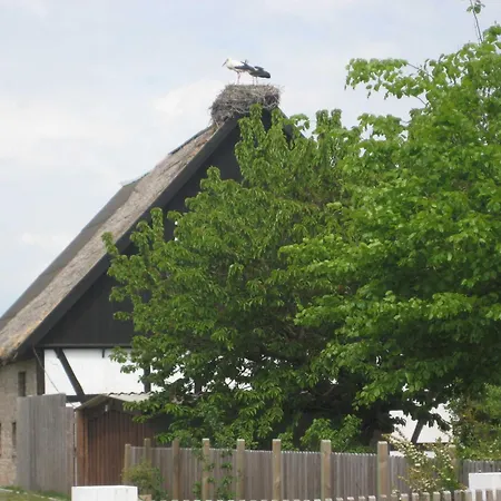 Am Haff A 12 펜션 *